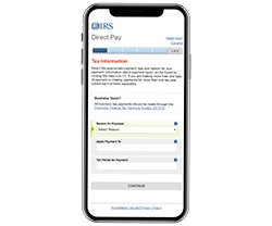 DirectPay Mobile 250 208